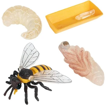 Опаковка от 4 фигурки на насекоми Жизнен цикъл на медоносната пчела Реалистични фигури на насекоми Играчки Образователна наука Модел играчка