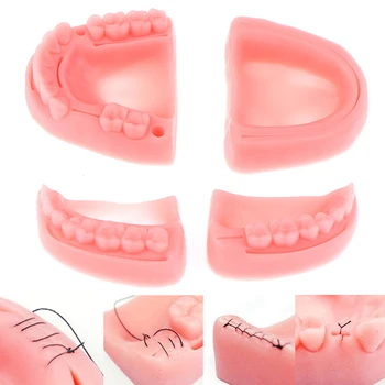  4Pcs / комплект Стоматологична симулация Орален шев Модел Силиконов зъб дъвка Оборудване за обучение на шевове